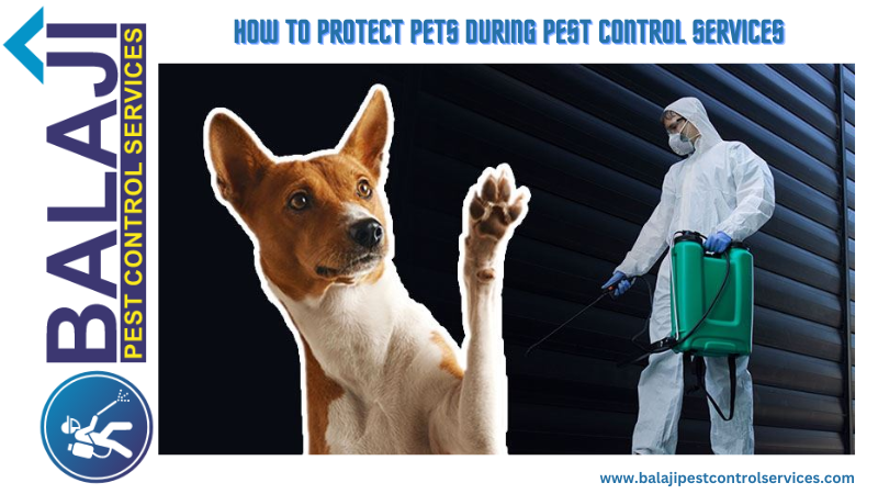 Pest Control Services