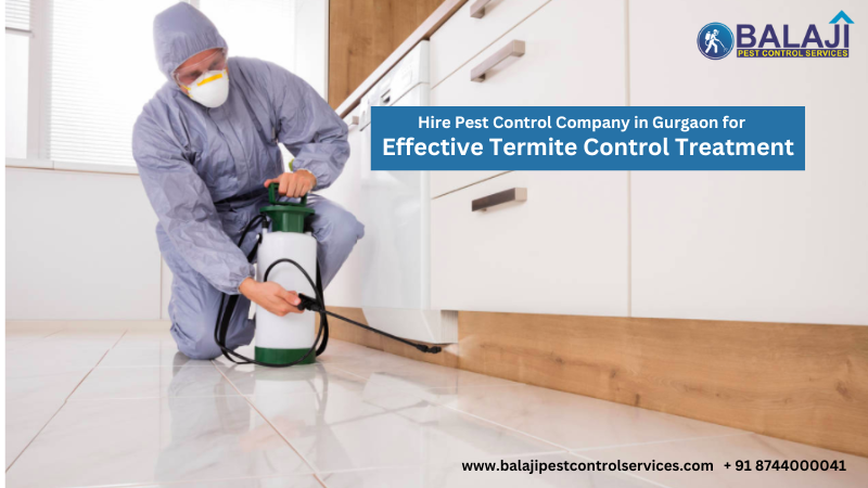 Termite Pest Control Services