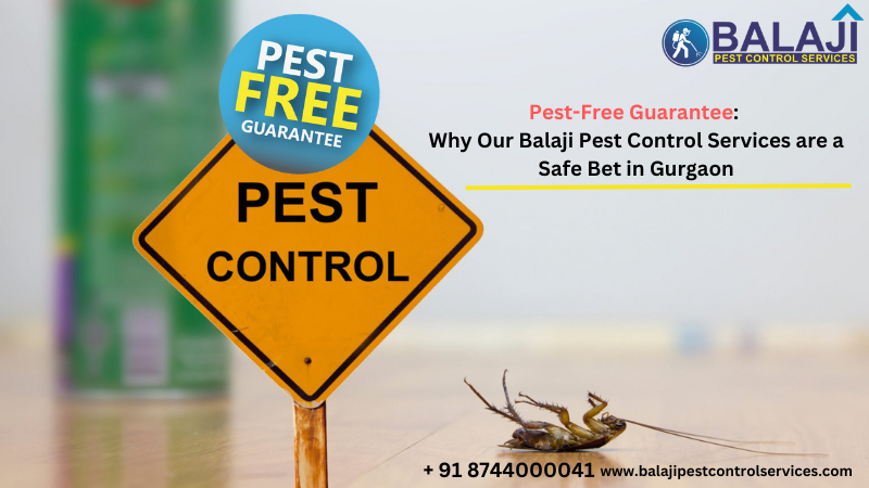 best pest control services in Gurgaon