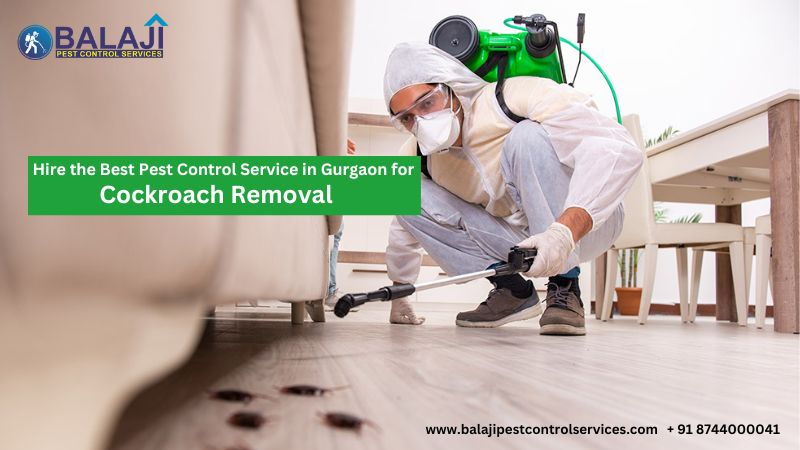 Cockroach Pest Control Services Gurgaon